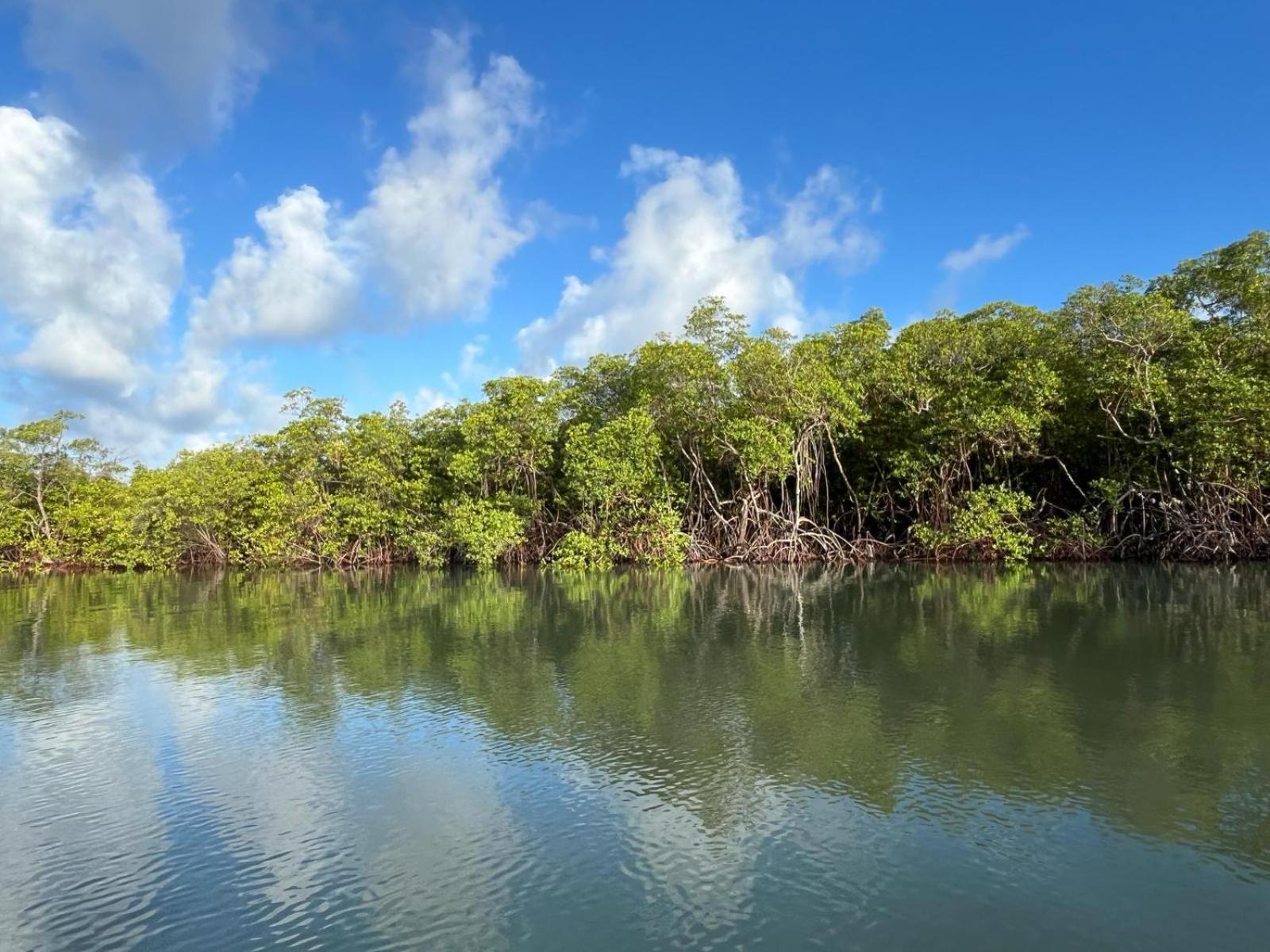Ecolodge Batel Alagoas Coruripe Eksteriør bilde